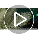 Green 50Pcs Snowy Pine Branches 13.5