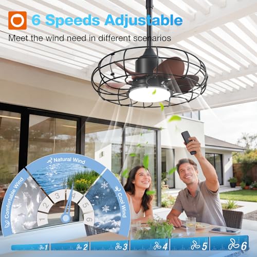 Outdoor Ceiling Fan with Light 20 Inch IP65 Waterproof Bronze Finish