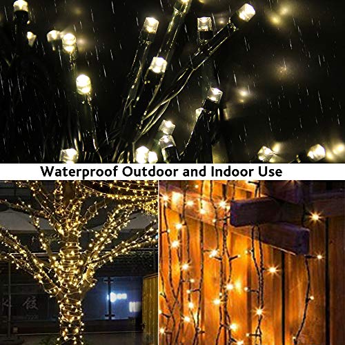 Warm White 50 LED Christmas String Lights with Timer, Battery Operated
