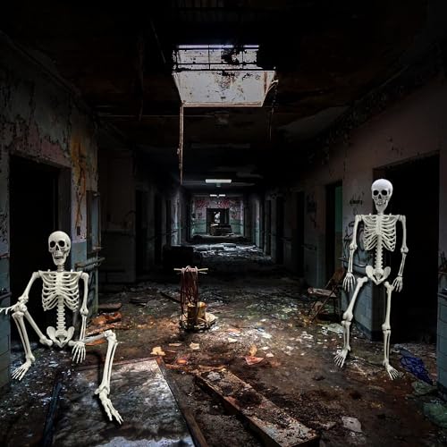 5.4Ft Halloween Skeleton with Movable Joints Life Size Human Bones Indoor Outdoor Decor