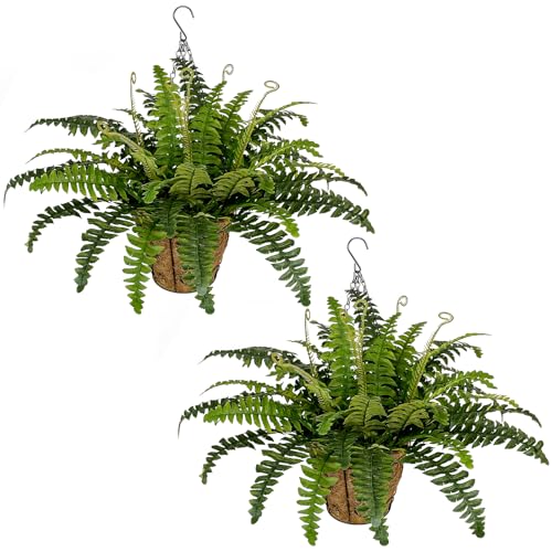 Artificial Hanging Ferns Set - UV Resistant Outdoor Plants for Porch Garden
