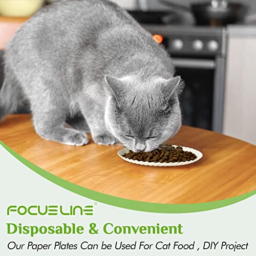 FOCUSLINE 6 Inch White Paper Plates 1000 Pack - Uncoated Disposable Dinnerware