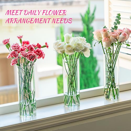 7 Pack 10 Inch Glass Cylinder Vases for Centerpieces - Clear Flower & Candle Holders