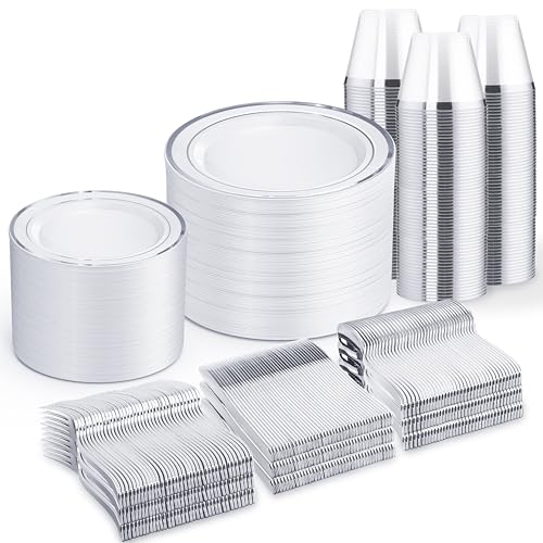 600 pcs Silver Disposable Dinnerware Set for 100 Guests – Wedding & Event Tableware