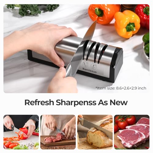 Electric Knife Sharpener 2-Stage Professional Kitchen Tool with Scissors Slot