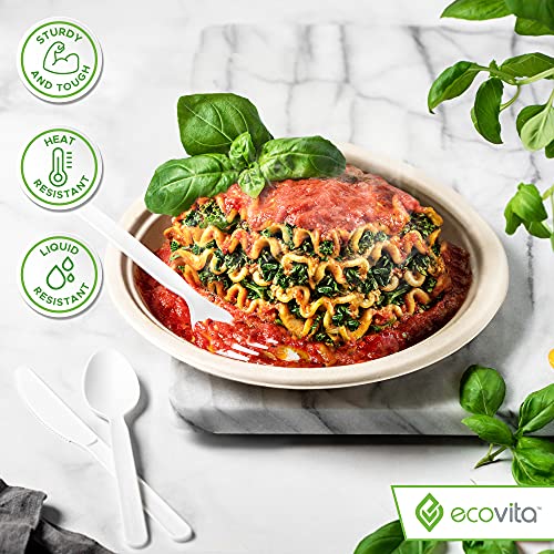 Large Disposable Compostable Knives - 500 Eco-Friendly Heat-Resistant Utensils
