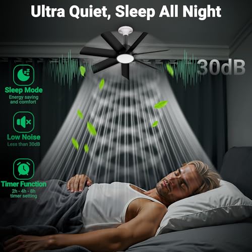 Orbecco 28-Inch Black Ceiling Fan with Light, 4000LM 6-Speed Reversible LED Fixture