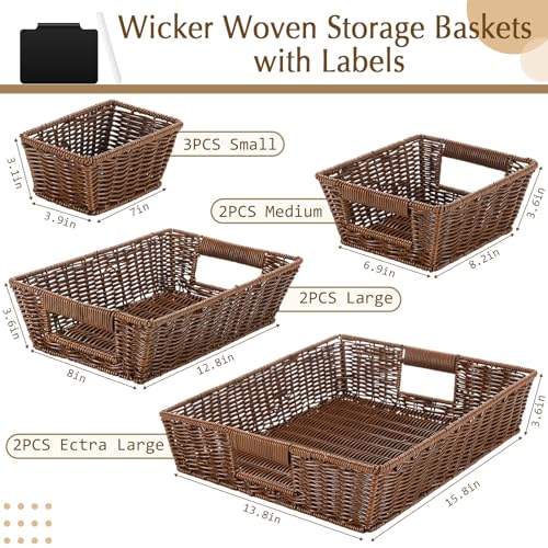 Marsui Dark Brown Wicker Storage Baskets Set of 9 with Handles & Labels - Multi-Size Closet & Pantry Organizer