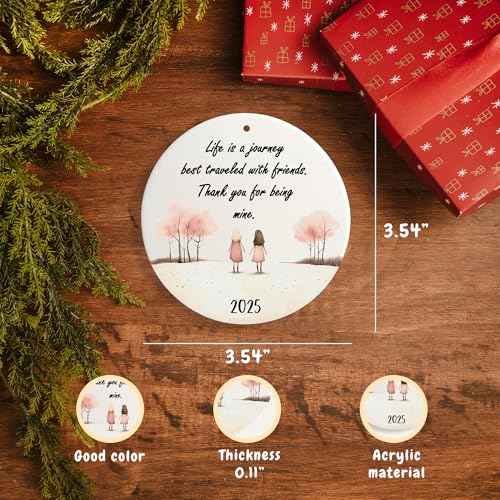 Friendship Ornament, for Women, Christmas Ornaments, Friend Ornaments for Women, Gift for Friends, Friend Ornament (2 Girls Friendship)