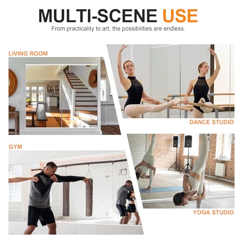 Delma Frameless Full Body Gym Mirrors 54 x 30 Inches, 2 Pack, Tempered Glass Wall-Mounted