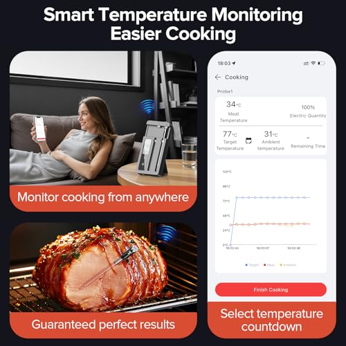 ROUUO Gray Wireless Meat Thermometer with 2 Probes, WiFi & Magnetic Base