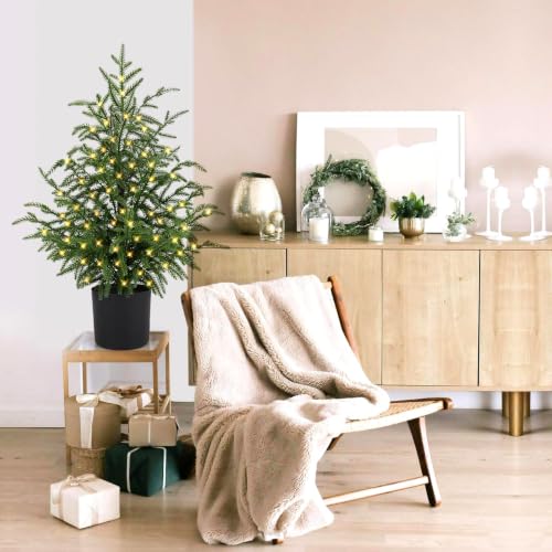 2FT ENVEN Norfolk Pine Christmas Tree - Prelit 30 LEDs, 8-Mode Battery Box, 1 Pack (2ft-1 Pack)