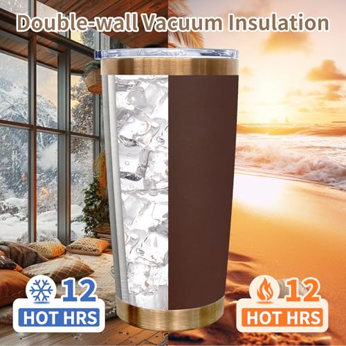 FunTrans 20 oz Insulated Stainless Steel Tumbler with Lid - Coffee / 1 Pack