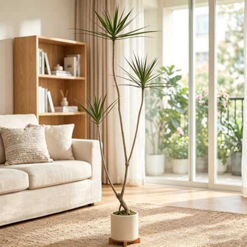 6ft Dracaena Marginata Artificial Tree - 3-Head Faux Dragon Tree with Realistic Leaves & Natural Twisted Trunk - Variation of 6ft 1in