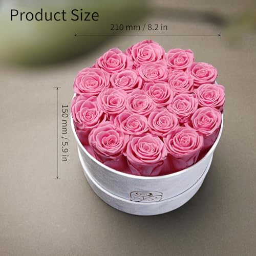 Flowers for Delivery, 20 Preserved Roses in Velvet Box, Gifts Women
