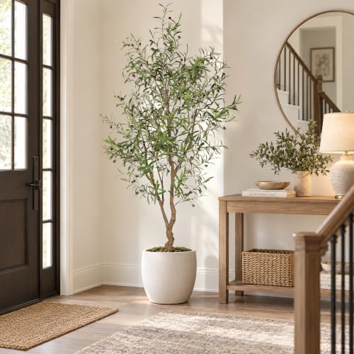 7ft Faux Olive Tree with Natural Branches & Realistic Leaves - Artificial Indoor Decor