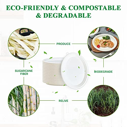 Vplus 12 Inch Compostable Oval Paper Plates 125 Pack White - Eco-Friendly Disposable Dinnerware