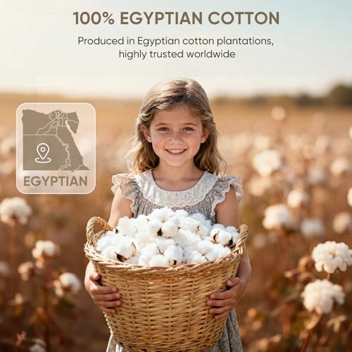 TWK 1200 Thread Count Egyptian Cotton Bed Sheet Set Gray Queen Deep Pocket