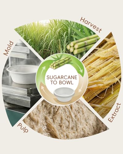 White 12oz Compostable Sugarcane Deep Bowls - 500 Pack