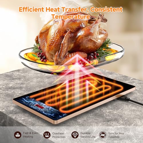 FEPPO Black & Gold 4-in-1 Electric Warming Tray for Buffet Parties