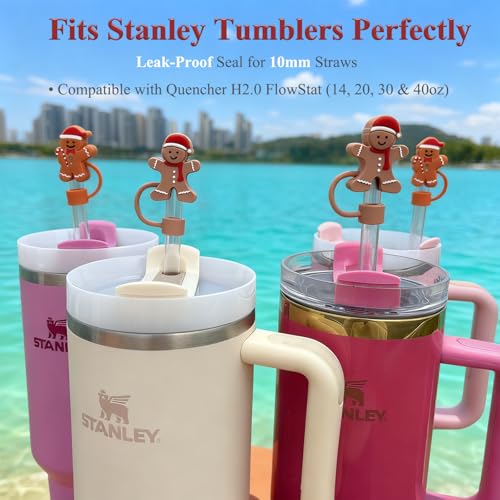 3D Gingerbread Man Straw Toppers for Christmas Stanley Cup