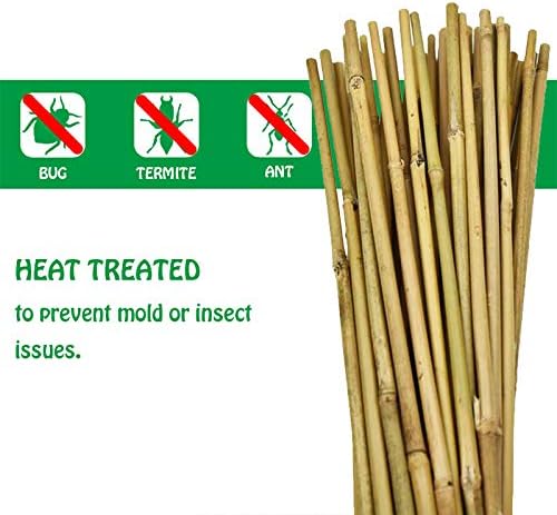 Mininfa Bamboo Garden Stakes - Eco-Friendly 2 Feet Plant Supports for Tomatoes, Trees & Beans | 30 Pack