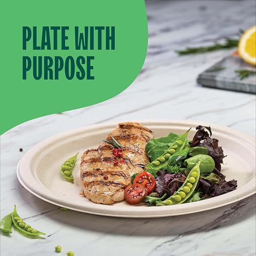 10 Inch Compostable Heavy Duty Paper Plates - 125 Pack, Eco-Friendly & Biodegradable, PFAS-Free, Microwave Safe - Stack Man