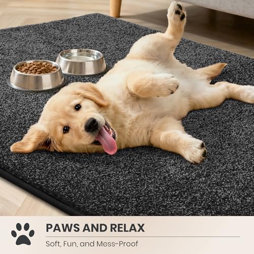 PURRUGS Charcoal Area Rug 48 x 72 Inches Low Profile Non-Slip Indoor Mat