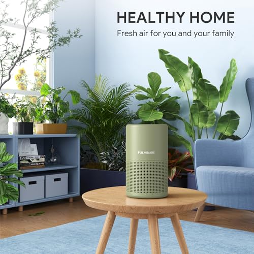 FULMINARE Sage Green HEPA Air Purifier for Bedroom & Home, 1 Pack