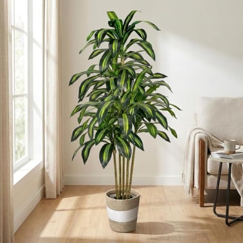 Artificial Dracaena Tree 5FT Tall with White Planter & Woven Basket - Fake Indoor Plant