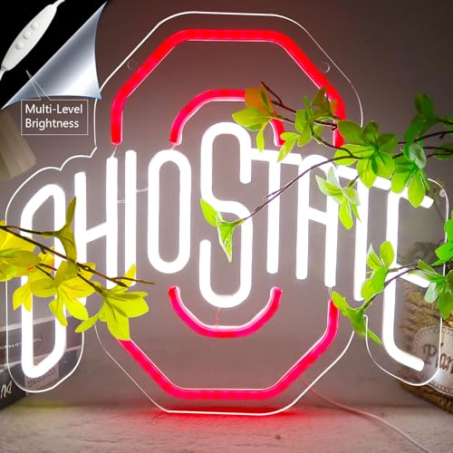 OIZEGO Red Football Neon Sign for Bedroom, Dorm, Man Cave, 13.4x12.2 in, USB Powered
