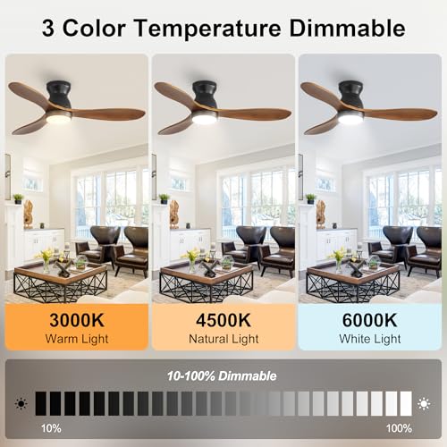 RnRolo Brown 42-Inch Ceiling Fan with Light & Remote, Wooden Blades, Quiet DC Motor