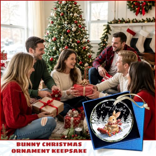 KATLADIZ Bunny Ornament 2026 - One-Sided Bunny Christmas Ornament with Navy Gift Box
