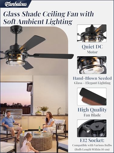 Fanbulous 52-Inch Farmhouse Ceiling Fan with Light & Remote - Black
