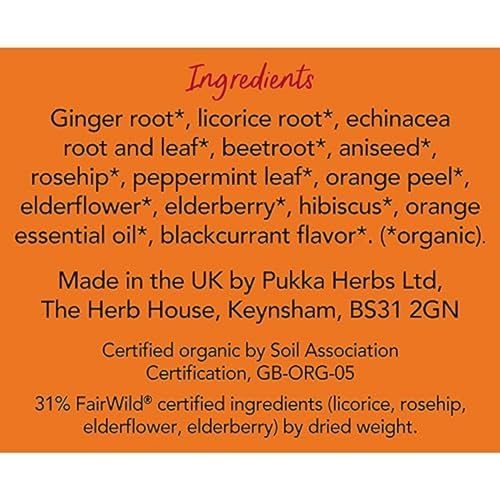 Organic Elderberry & Echinacea Herbal Tea Bags - 4 Pack of 20, Caffeine-Free Wellness Support