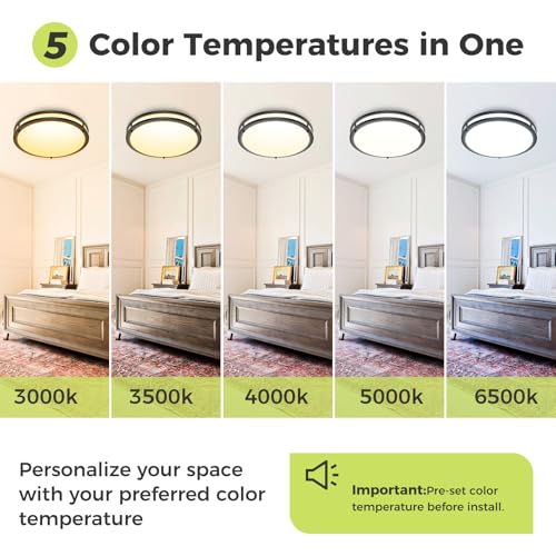 hepside 13-Inch Flush Mount Ceiling Light 2 Pack, Dimmable, 5 Color Temperatures, Black