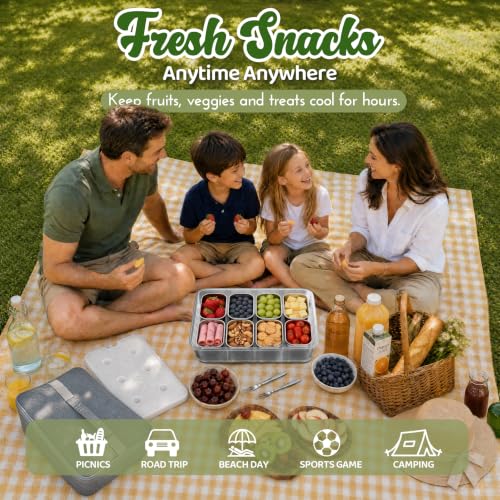 Stainless Steel Snack Box with Ice Pack and Removable Cups - Insulated Travel Food Container