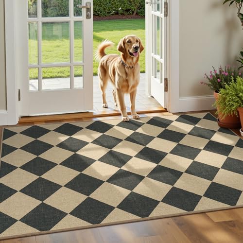 Black Checkered Outdoor Patio Rug 3x5 Washable Non-Slip Entryway Mat - Lessymo