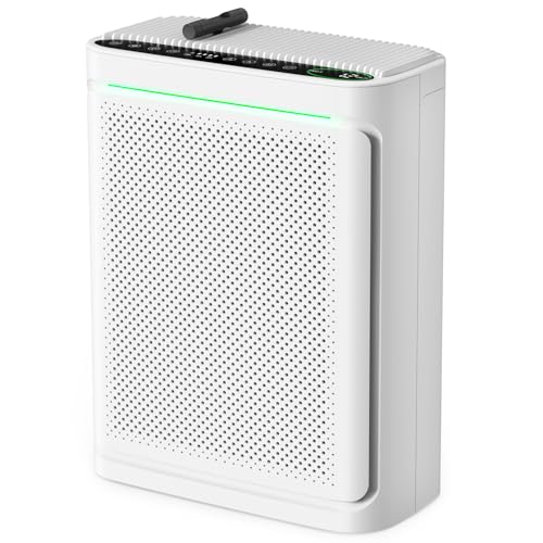 VOOPNU Air Purifier with H13 Filter & Air Quality Display, Auto & Sleep Mode