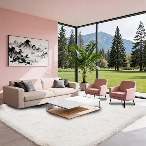 White 9x12 Shag Area Rug for Living Room & Bedroom - Ultra Soft Fluffy Furry Carpet