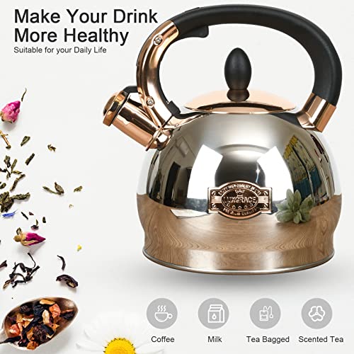 3 Quart Stainless Steel Whistling Tea Kettle with Metal Bottom - Silver