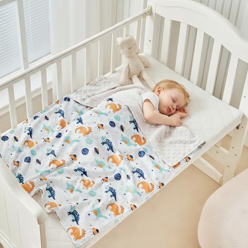 DuShow Dinosaur Baby Blanket for Boys - Ultra Soft Double Layer Minky Blanket with Dotted Backing, Lightweight Receiving Swaddle for Newborns & Toddlers, Nursery, Stroller, Carseat-30x40 Inches