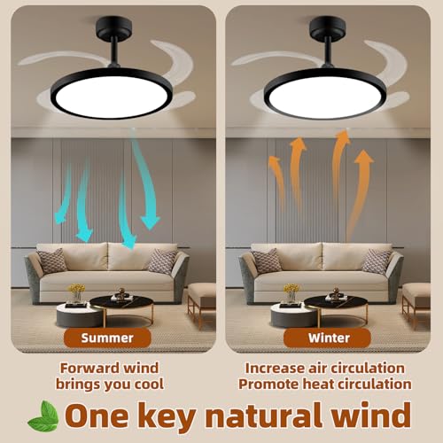 BAYSQUIRREL Downrod Mount Black Retractable Ceiling Fan with Lights & App Control