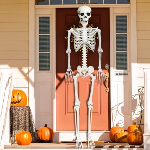 5.9FT Life Size Skeleton with Movable Joints - Halloween Full Body Decor, 1 Pack