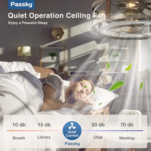 Black Brushed Gold 20-Inch Caged Ceiling Fan with Lights & Remote - Low Profile Fandelier