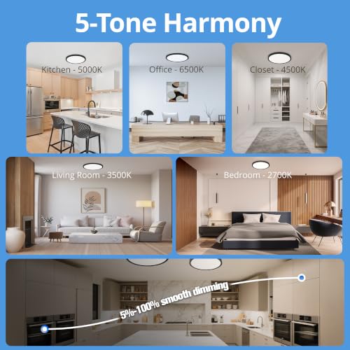 Black 12-inch Ultra-Thin Dimmable LED Ceiling Light, 5CCT, Flush Mount
