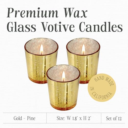 Mister Candle Gold Set of 12 Pine Scented Holiday Votive Candles with Essential Oils, 15 Hr Burn Time