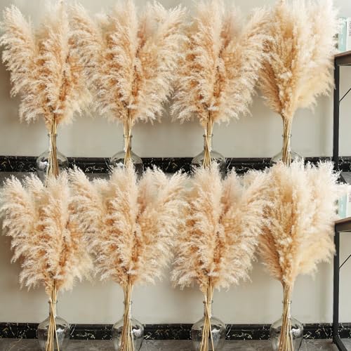 40 Inch Natural Pampas Grass Stems - Boho Wedding & Home Decor - Variation of THIS listing