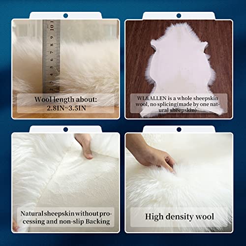 Large Sheepskin Rug - 2'6 x 3'7 Ivory White Thick Wool Area Rug, Australian Pelts