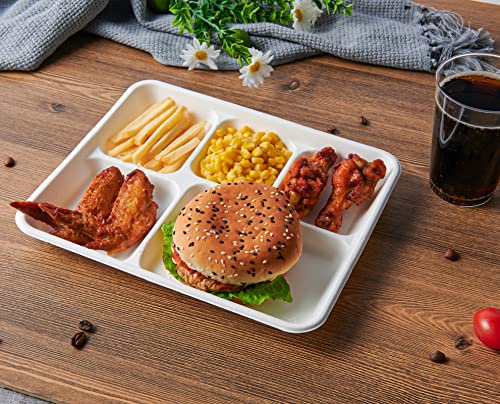 Vplus 500 Pack 5-Compartment Compostable Sugarcane Plates, 10.2x8.5 Inches — White, Eco-Friendly, Disposable Food Trays